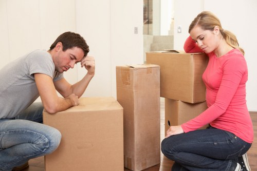 Packed boxes and organized storage unit for long-term storage in Primrosehill